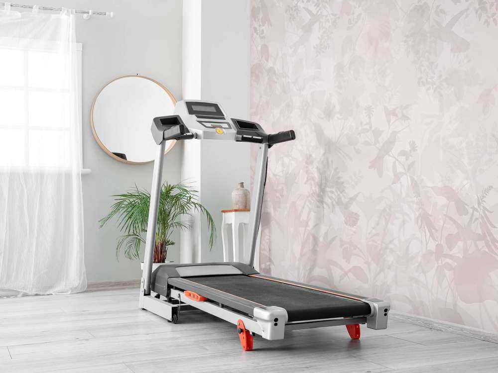 Symfonia Ogrodowa w Różu