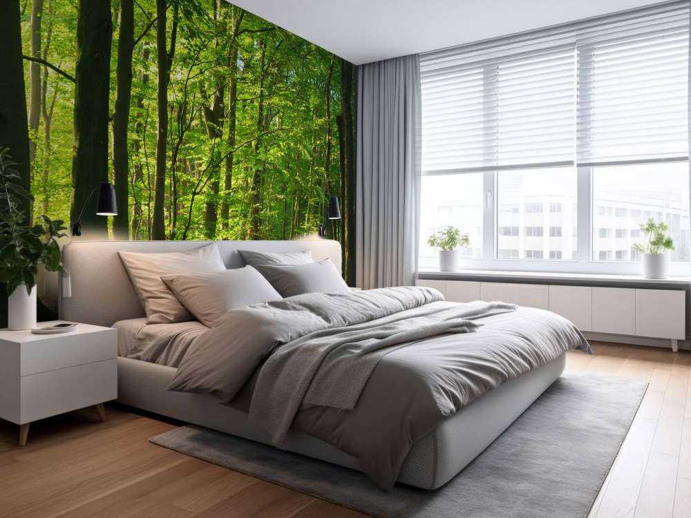 Słoneczna droga przez las