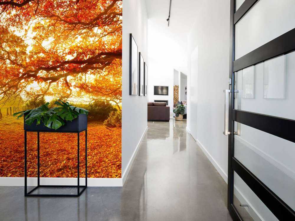 Jesienny krajobraz z lasem i łąką