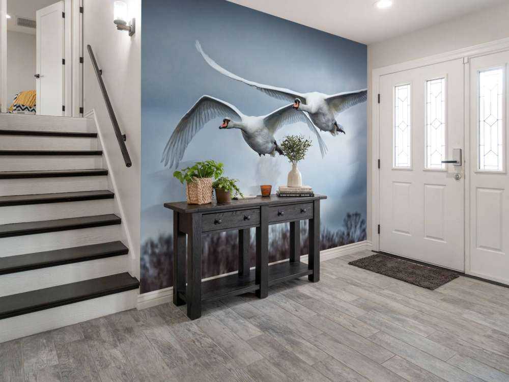 Latające łabędzie