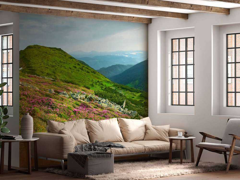 Rododendrony w górach.