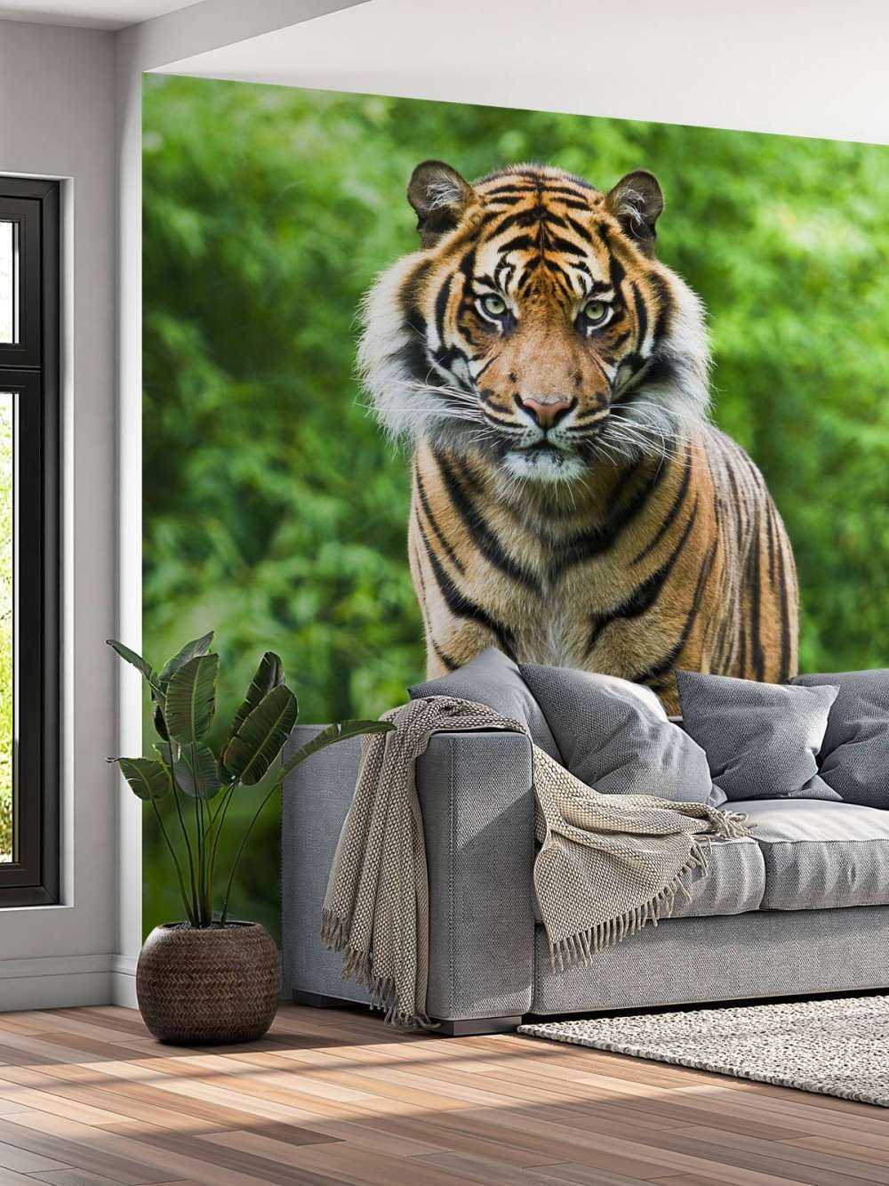 Tygrys stojący na kamieniu