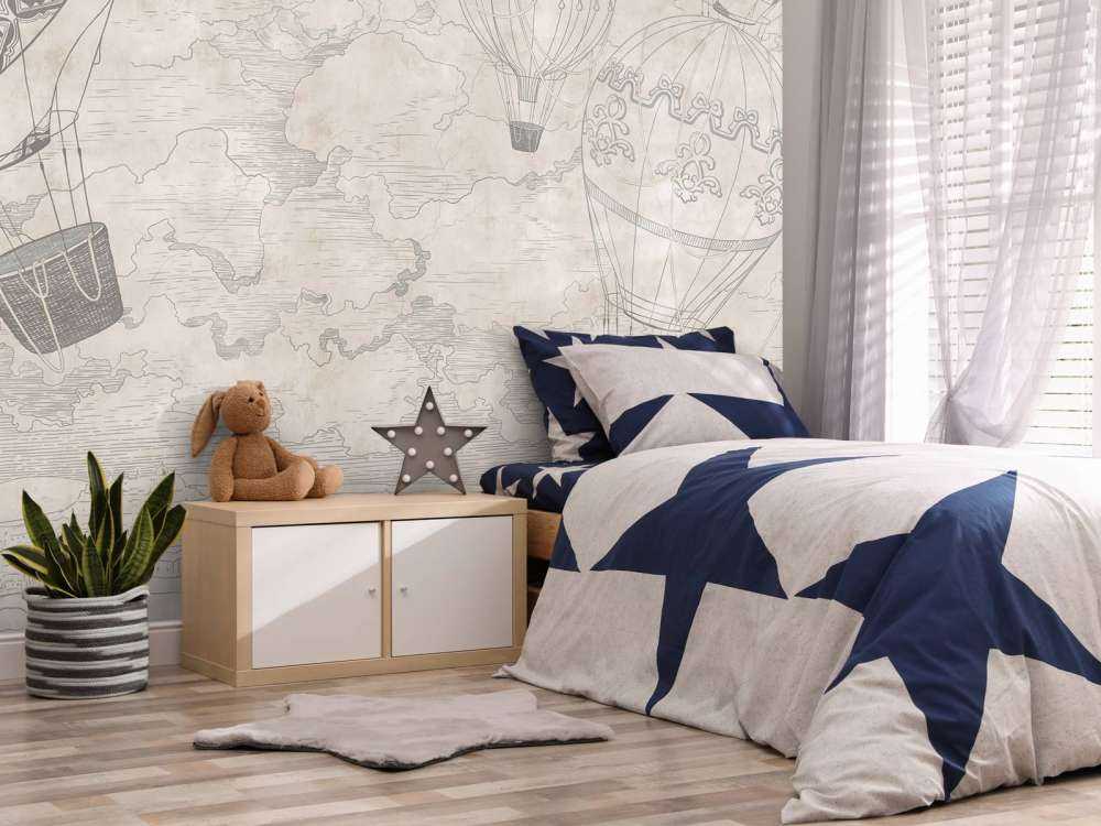 Balony na gorące powietrze z widokiem