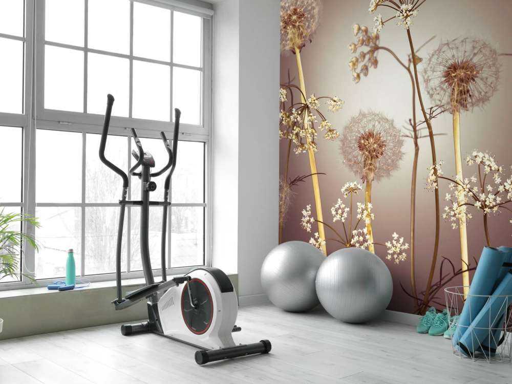 Łąka fantazyjny brąz