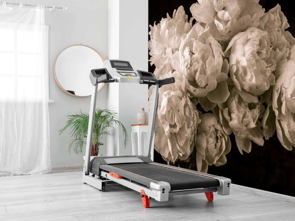 Pęczek piwonii vintage