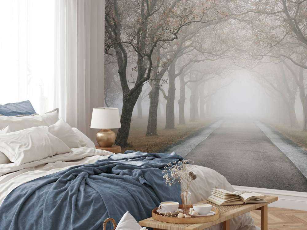 Droga ze starymi drzewami