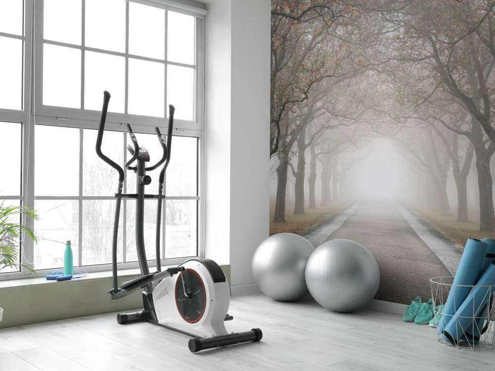 Droga ze starymi drzewami