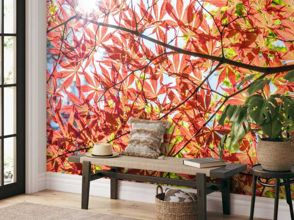 Czerwone jesienne liście