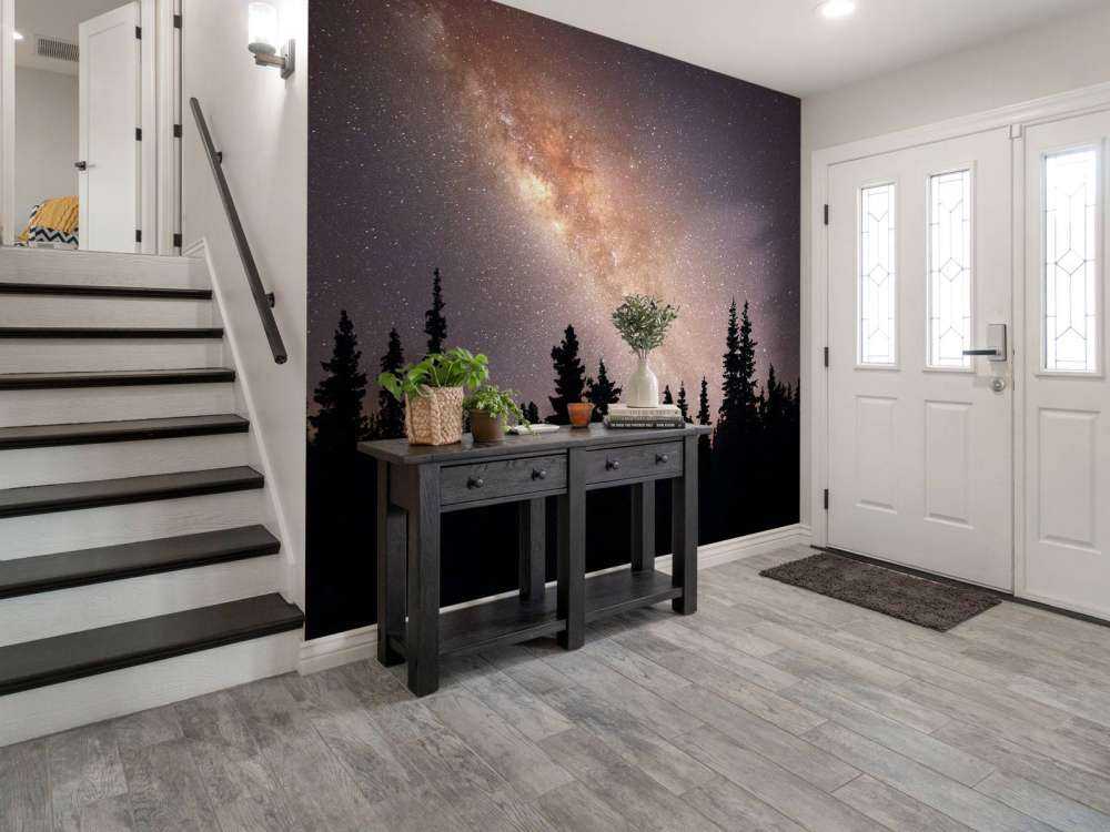 Droga Mleczna nad sylwetką drzew