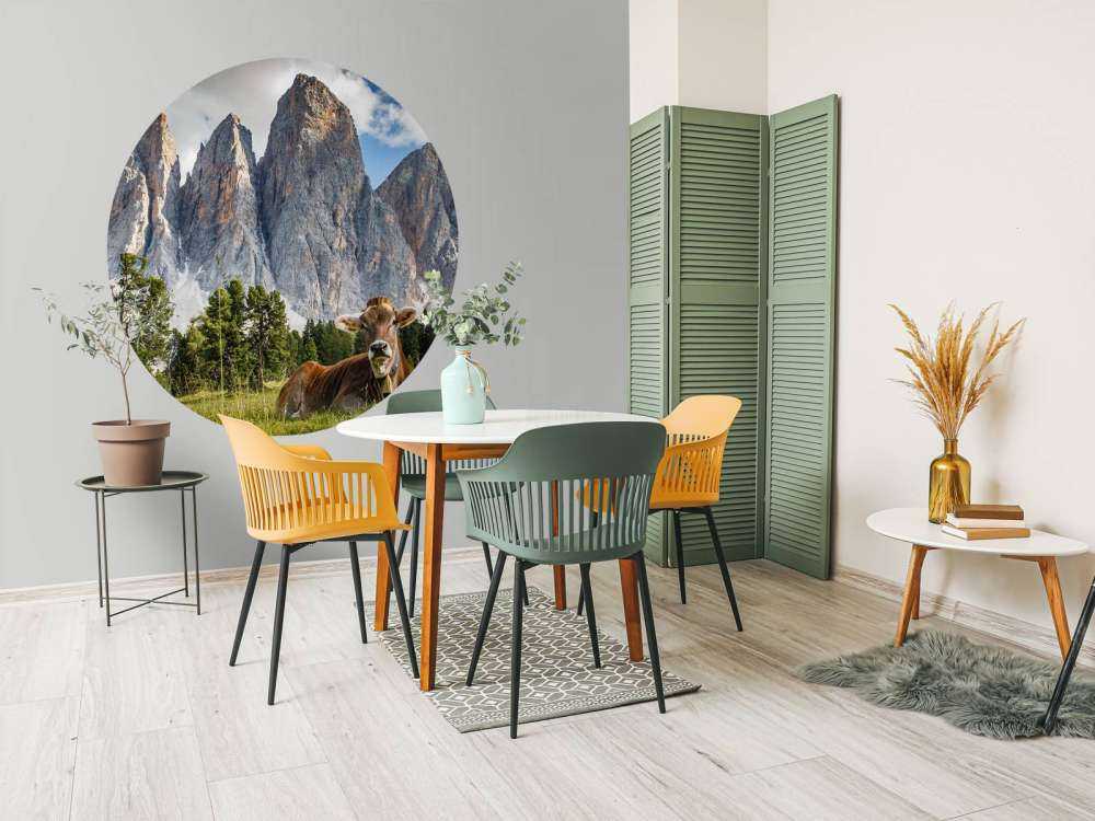 Krowa z dzwoneczkiem