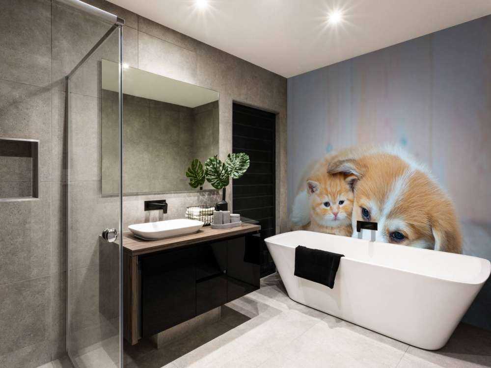 Tapeta dla kota. Zdjęcie kociaka i szczeniaka.