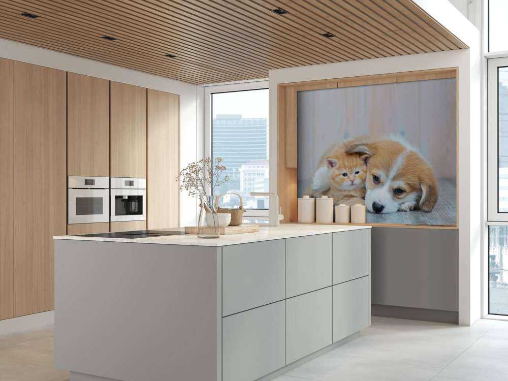 Tapeta dla kota. Zdjęcie kociaka i szczeniaka.