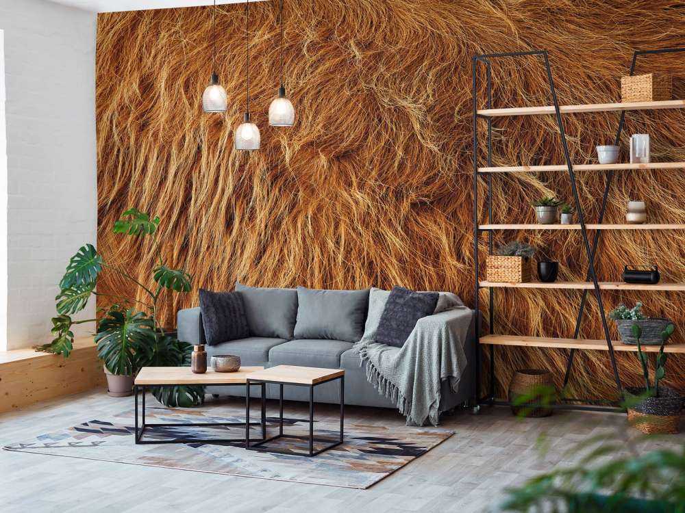 Szkocka sierść wyżynna w stylu vintage 