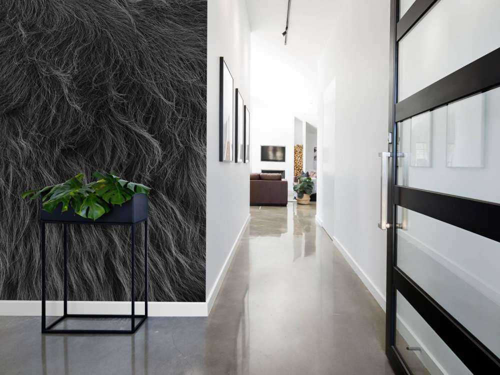 Sierść szkockiego wyżynna w kolorach czarno-białym