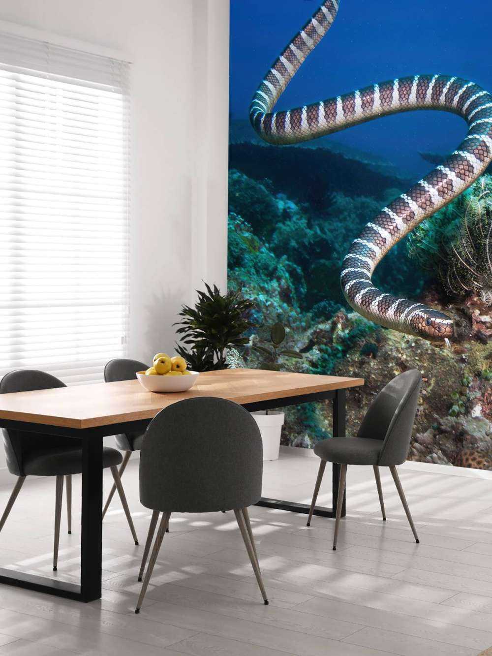 Pasiasty wąż morski