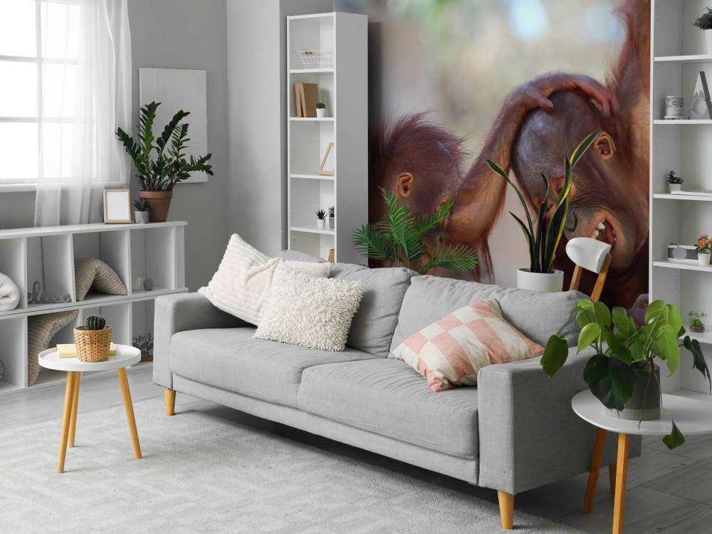 Dziecięce orangutany