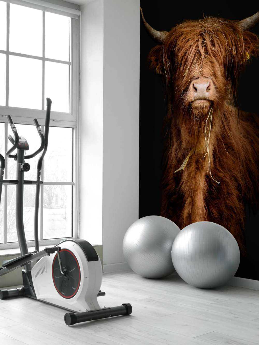 Portret szkockiego wyżynna