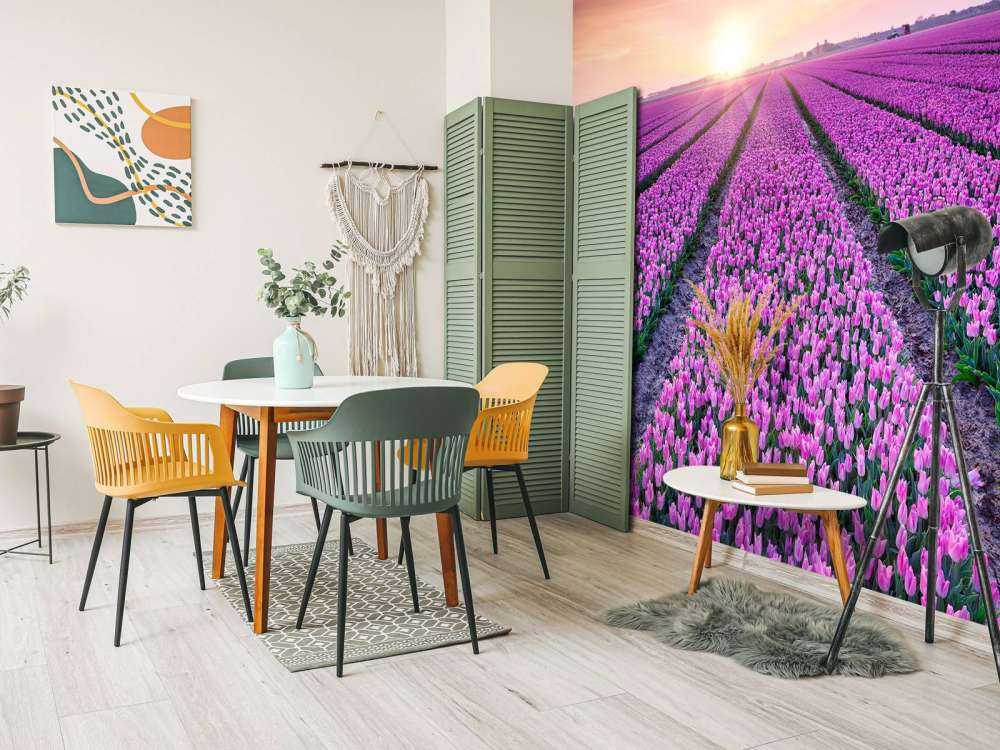 Pole tulipanów o wschodzie słońca