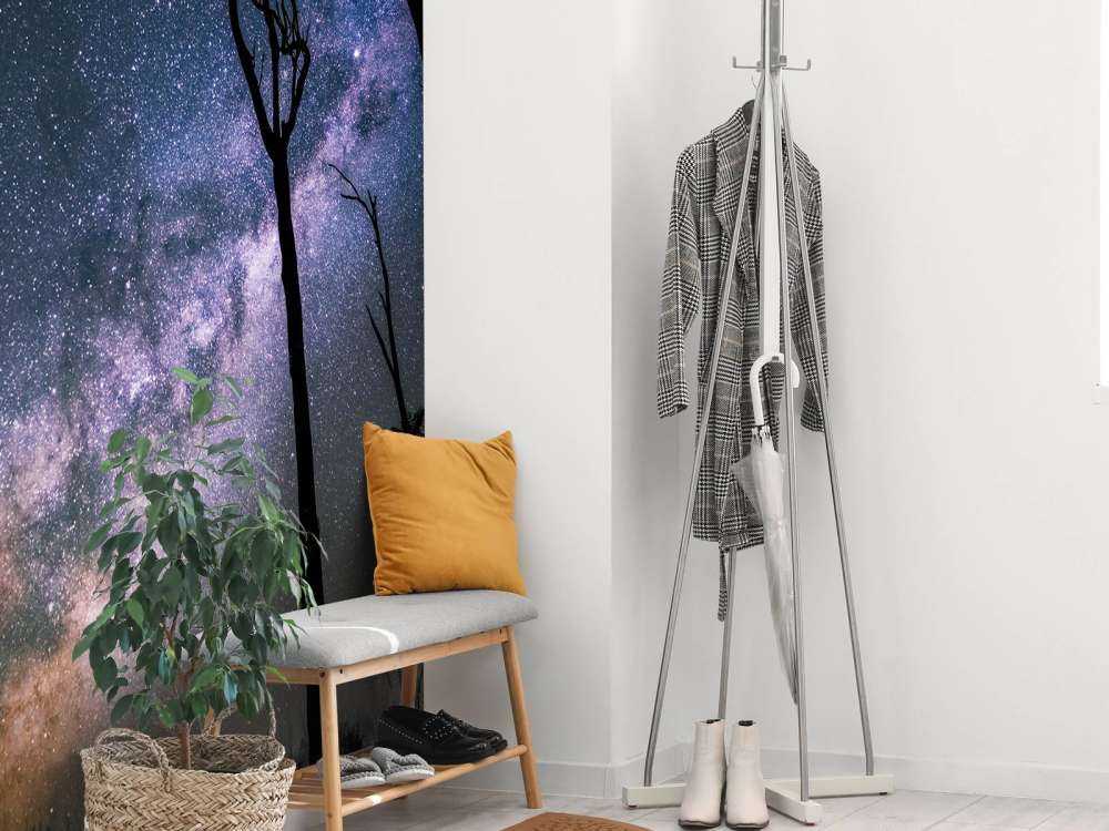 Gwiazdy między drzewami