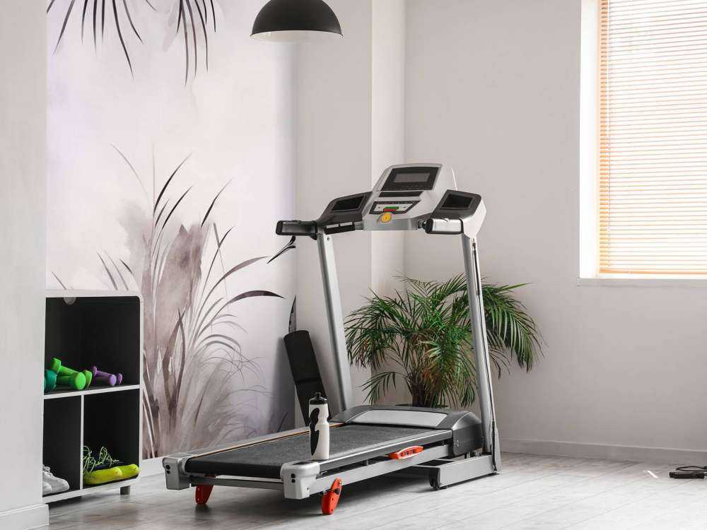 Żurawie w Białym Polu