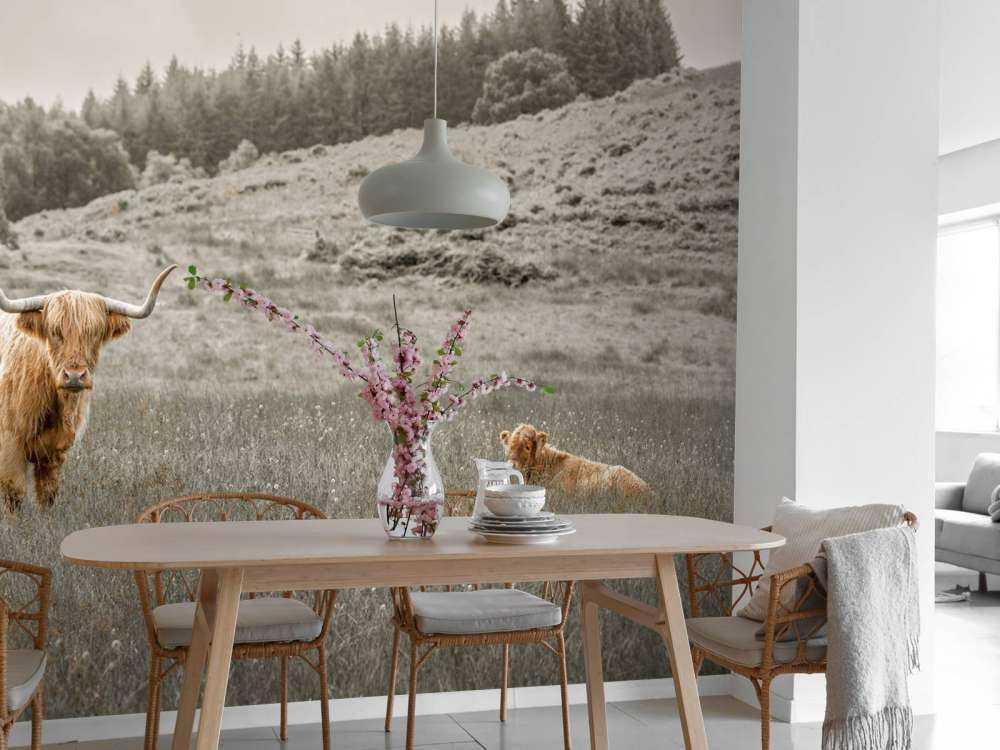 Szkocki wyżyn z cielakiem