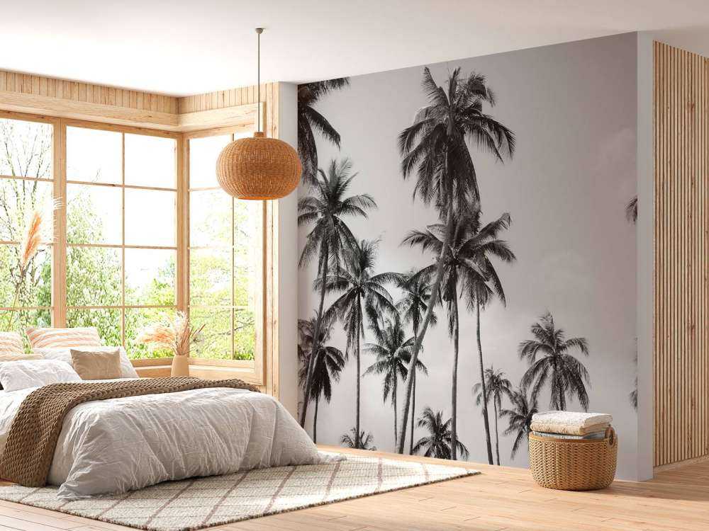 Palmy w czerni i bieli