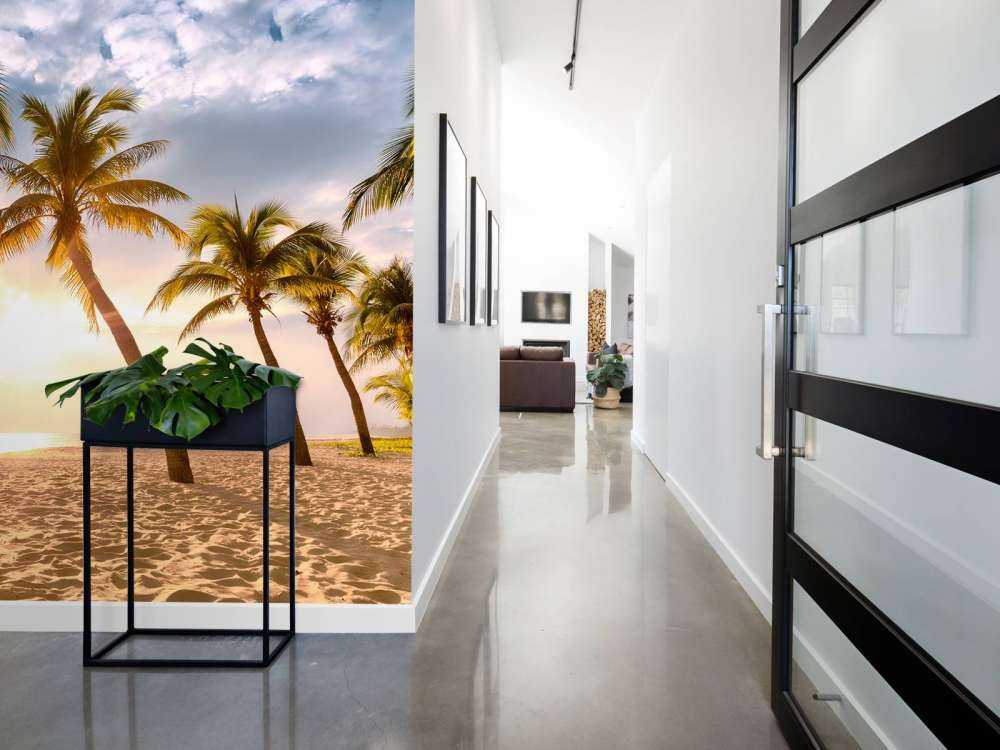 Palmy kokosowe na tle zachodzącego słońca