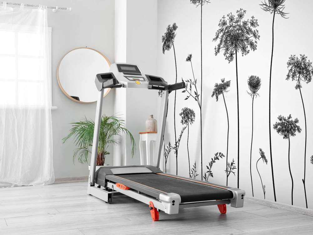 Trybula leśna w czerni i bieli