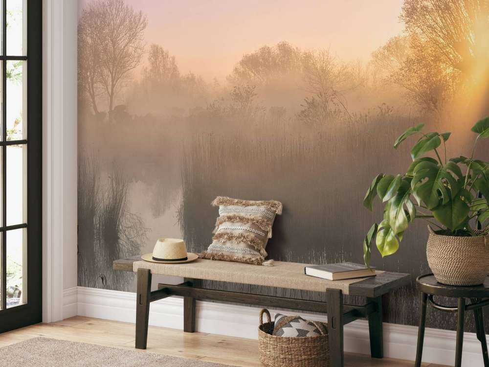 Silence morning