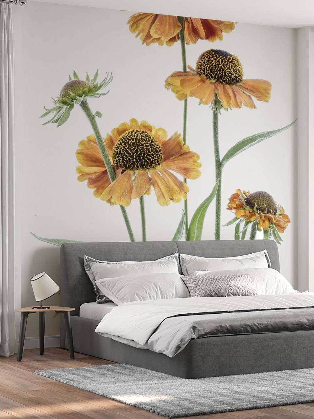 Helenium żółte