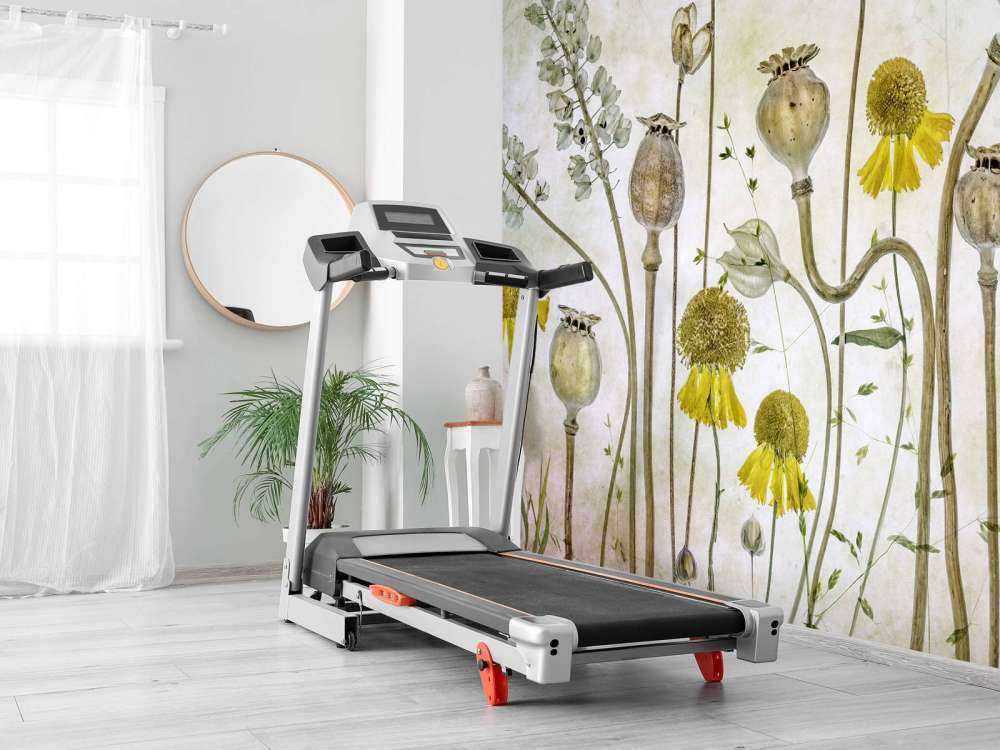 Poppies and Helenium