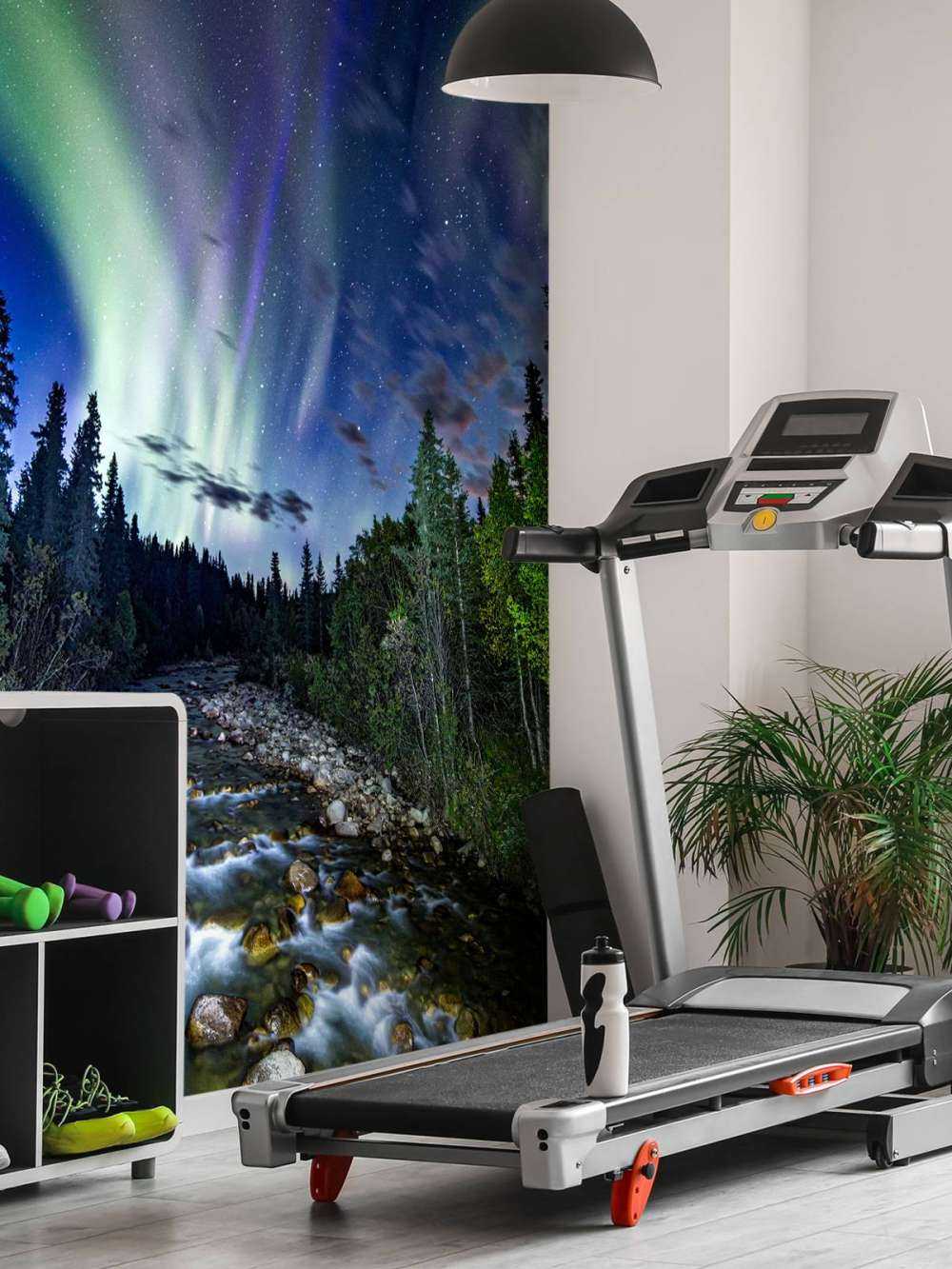 Brooklet podczas światła północnego