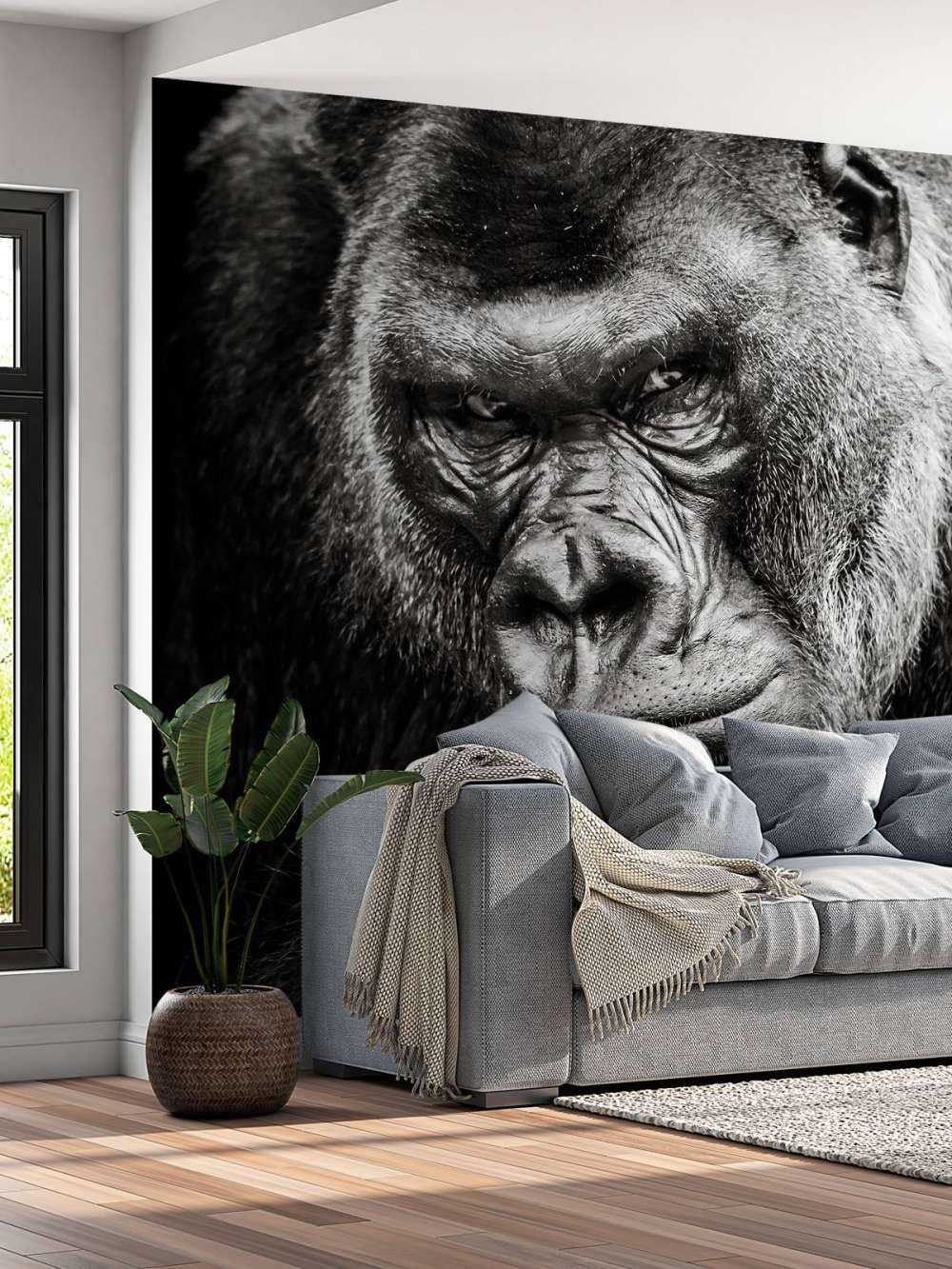 Zbliżone zdjęcie goryla