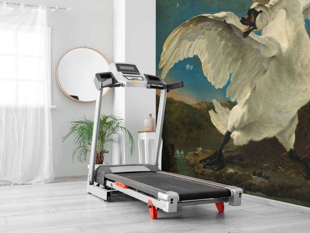 Zagrożony łabędź