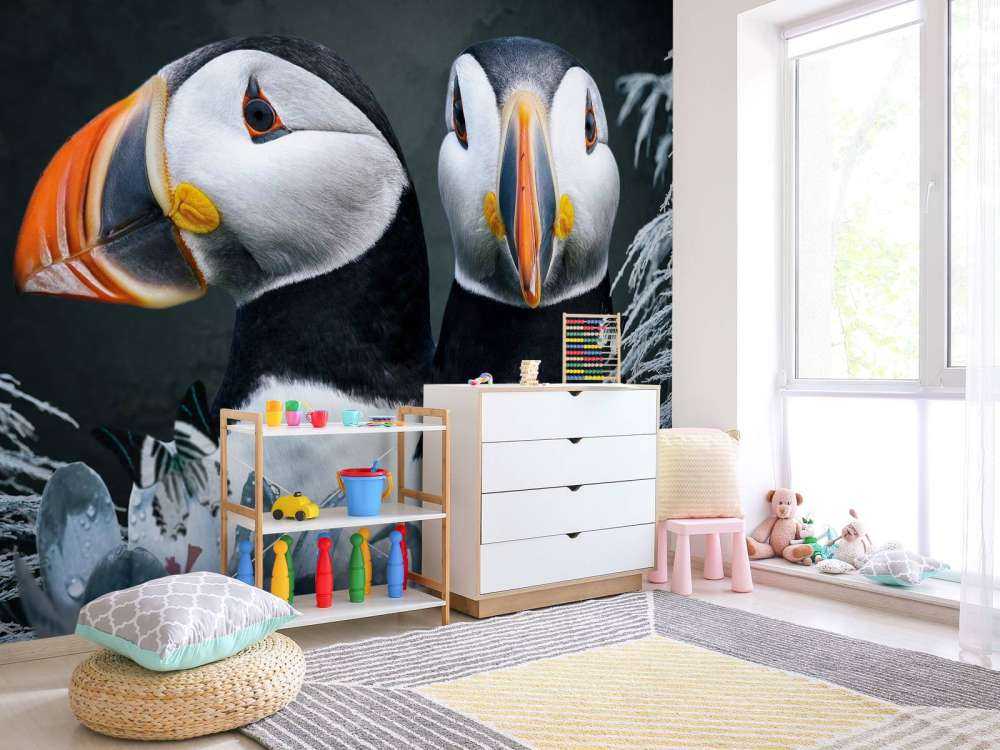 Atlantic Puffins