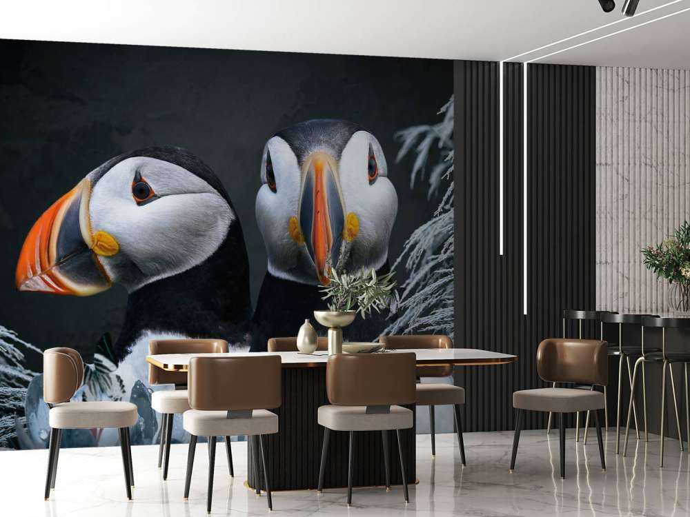 Atlantic Puffins