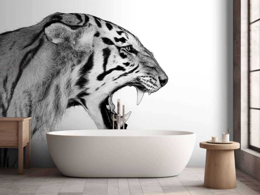 Ryczący tygrys biały