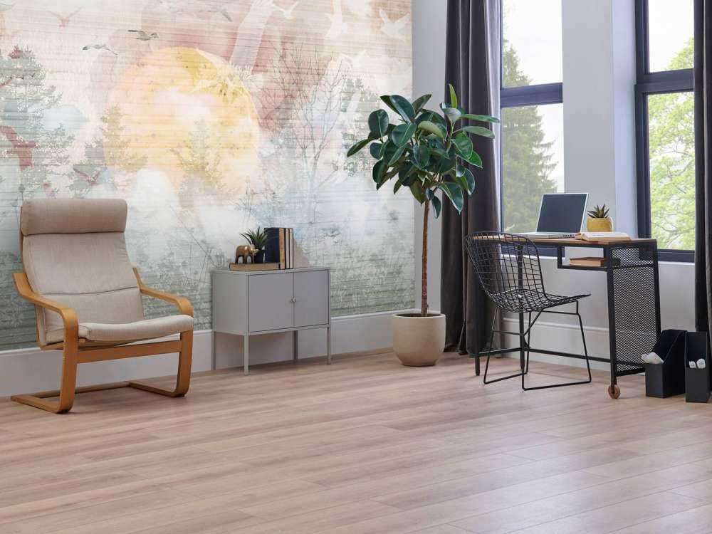 Wschód słońca w mgle