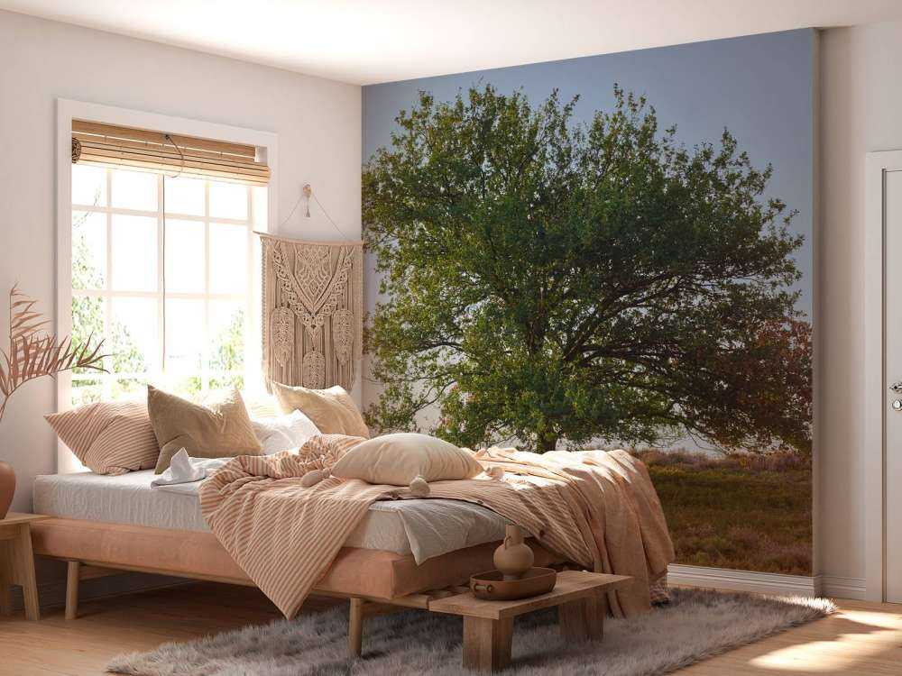 Samotne drzewo na wrzosowisku