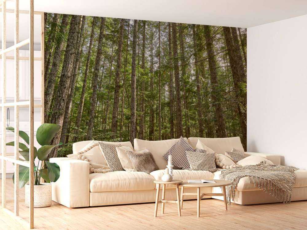 Cienkie drzewa w lesie