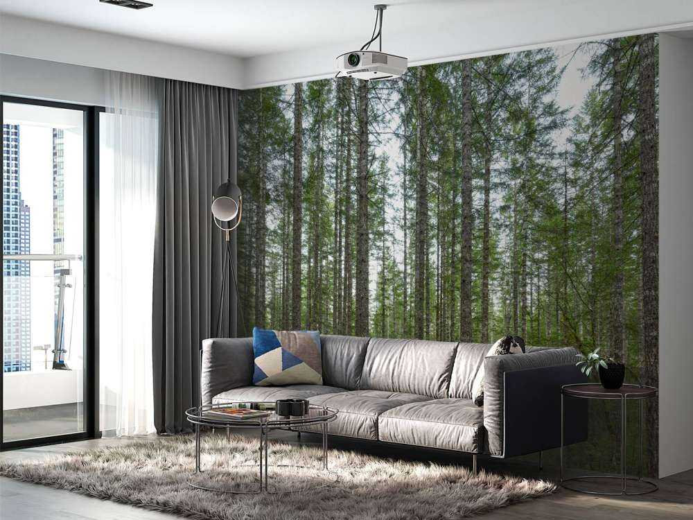 Drzewa wysoko wyprostowane