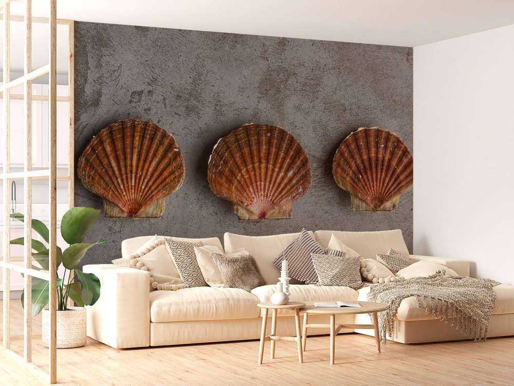 Trzy muszle 