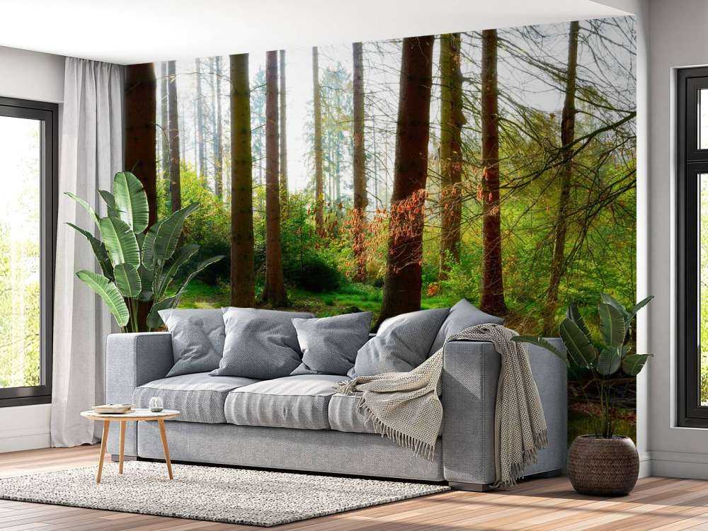 Jesienny las z jasnym światłem słonecznym