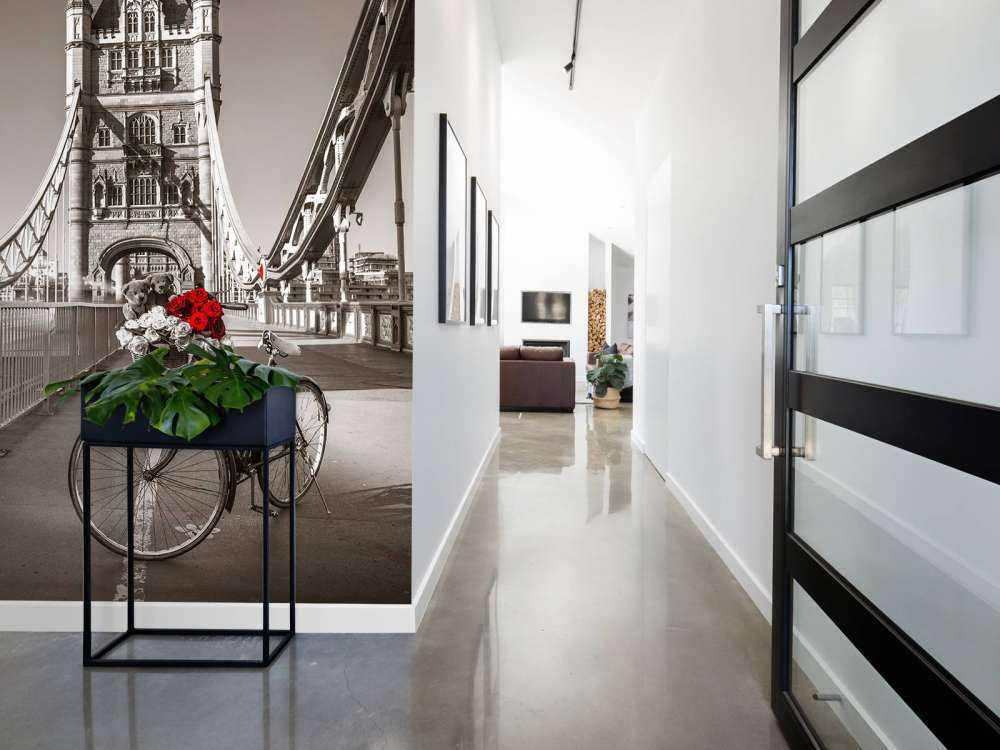 Szczeniaki w koszyku rowerowym