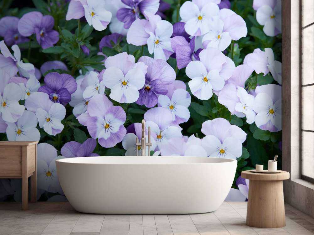 Fioletowobiałe skrzypce