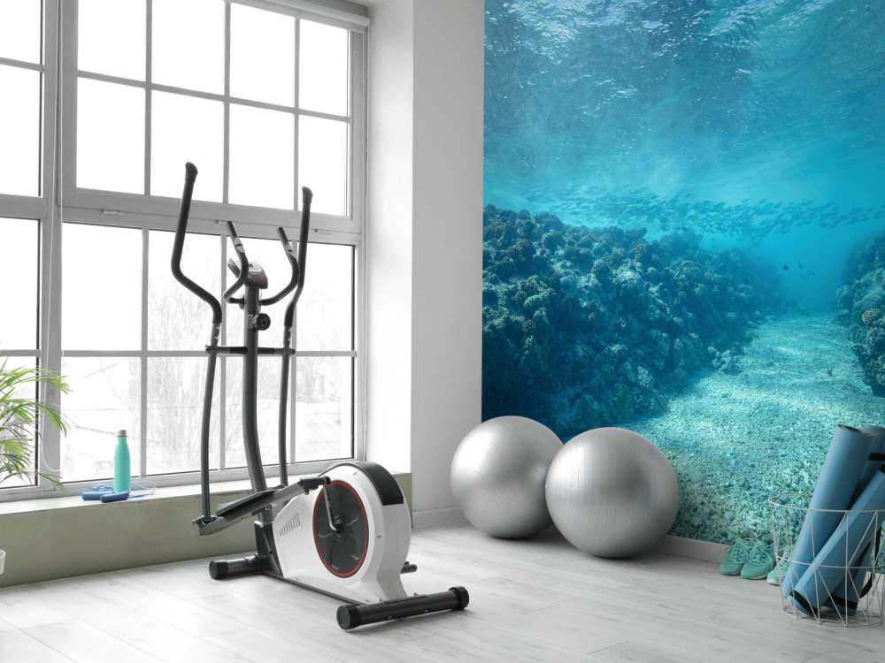 Podwodny świat z koralowcami