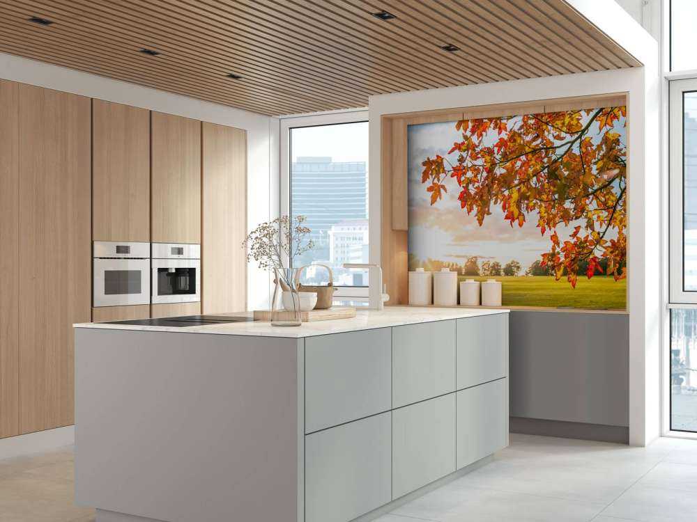 Jesienne drzewo o zachodzie słońca