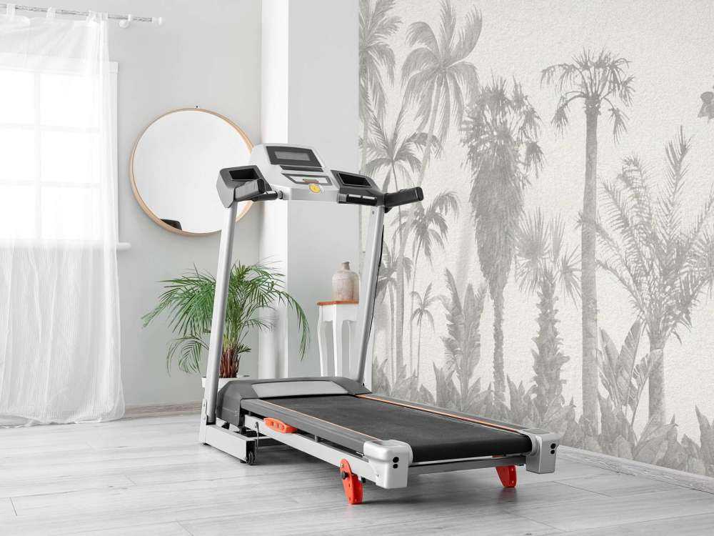 Dżungla w odcieniach szarości