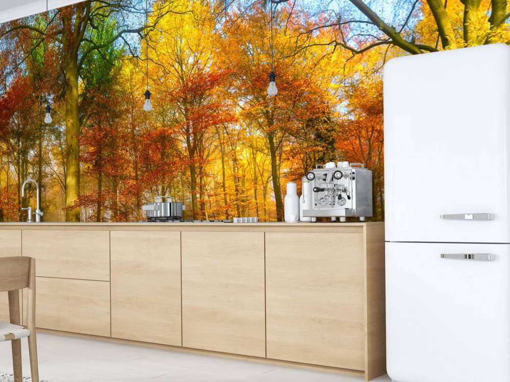 Kolorowa panorama lasu