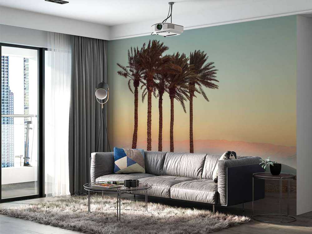 Palmy o zachodzie słońca